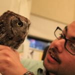 Omar looking at an owl