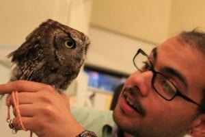Omar looking at an owl