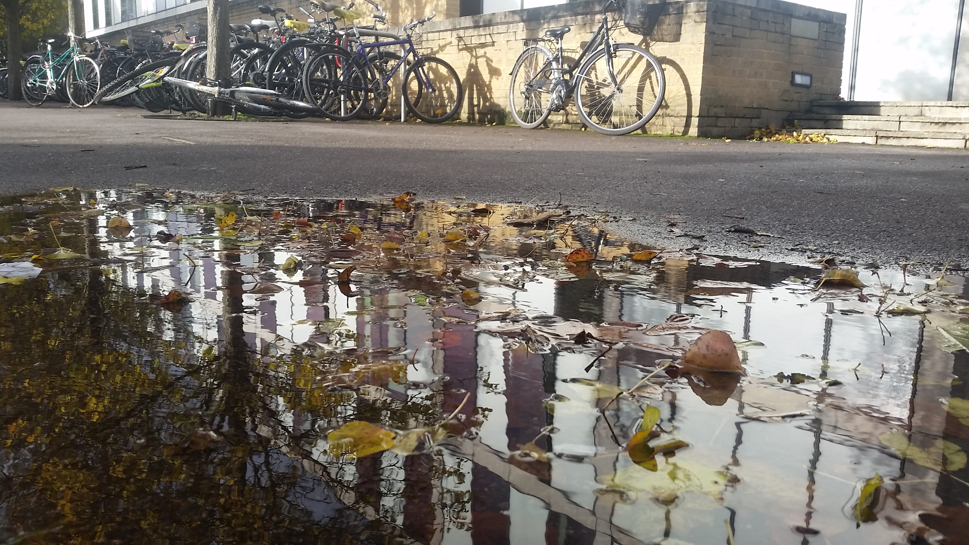 Parked bicycles beside a puddle near the Social Sciences Library, University of Oxford