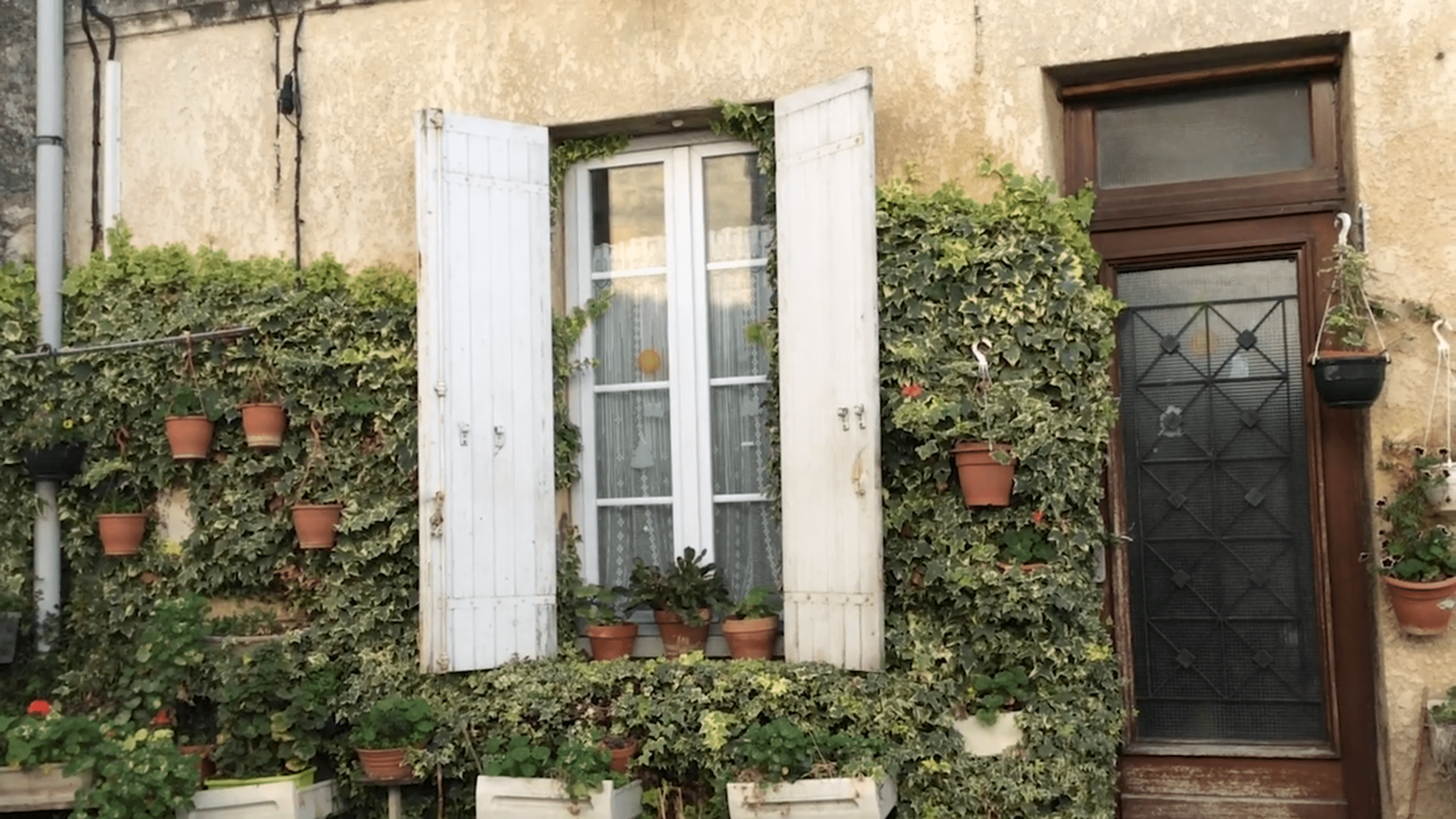 Side of house with large white window, open shutters, covered in ivy