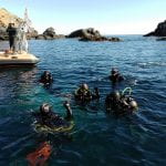 Five students wearing scuba gear float atop greenish-blue water