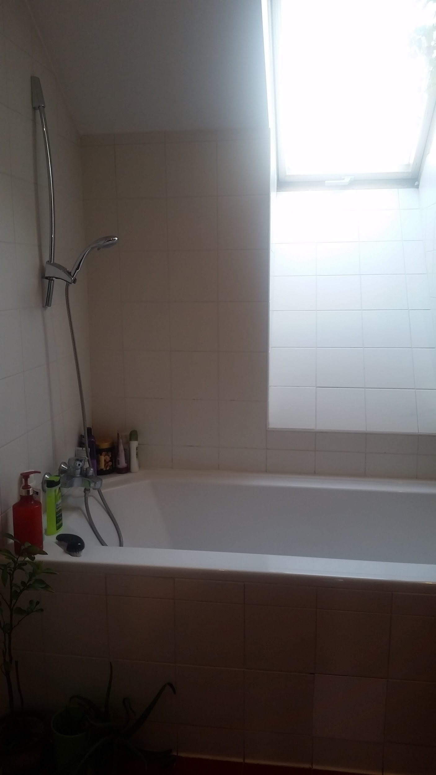 Bathtub with shower head in Czech Republic