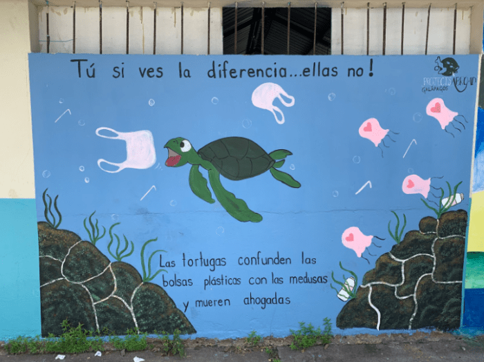 A mural outside of a school. The top line reads: “You see the difference, they don’t!”. The text at the bottom: “Turtles confuse plastic bags with jellyfish and die of suffocation.”